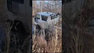 21 ноября 2023 г.