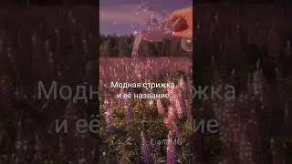 Модная стрижка и её название 