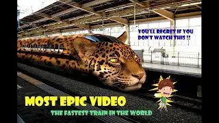 Most epic Video EVER !!!!!  TRUST ME !!