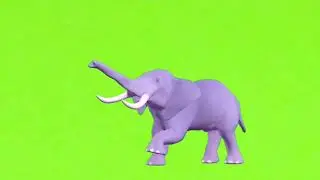 Elephant green screen/হাতি ভিডিও /carton elephant/elephant green screen video/animals video