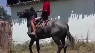 Бышты сатылат