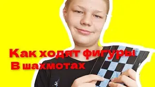 как ходят фигуры в Шахматах
