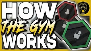 EVERYTHING You Want to Know About the Hideout Gym - Escape From Tarkov GUIDE