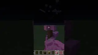 santuario japones minecraft parte 10
