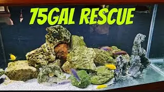 75gal Rescue