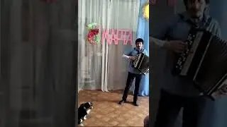 Номер Сергея БаяниНА #1000Volt