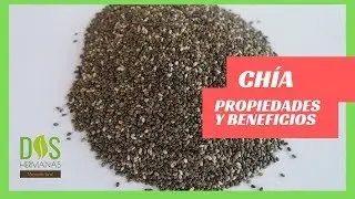 Chia: propiedades y beneficios