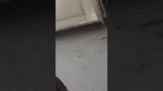 Уличный гипноз
