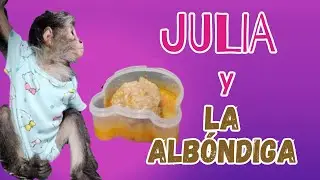 Julia y la Albóndiga