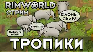 Неприкрытая жестокость в тропиках Rimworld.