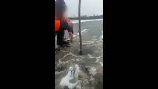 Судак,налим. Перемет под лед  .  декабрь 2019