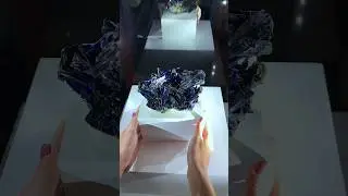 Museum Quality Azurite Cluster 🤯