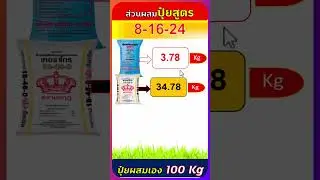 สูตรปุ๋ยผสมเอง 8-16-24 ใช้แม่ปุ๋ย N-P-K จำนวนเท่าไหร่