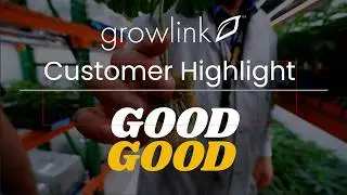 Customer Highlight: Yellow Dream Farm (Good Good)