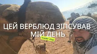 Цей верблюд зламав мій день. Trading Vlog