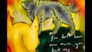 Ashfur's impossible Slideshow