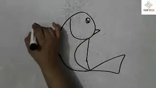 Draw dolphin from latter C and fish from latter D || dolphin sketching and fish sketching
