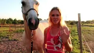K1ller Horse or K1ll the Horse?