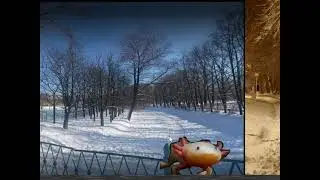 test_2020_03