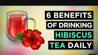HW 2 MAKE HIBISCUSS 🌺  TEA