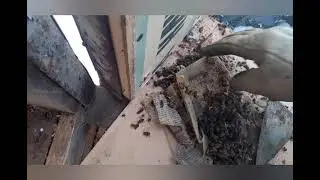 Способы зимовки.Сравнение.