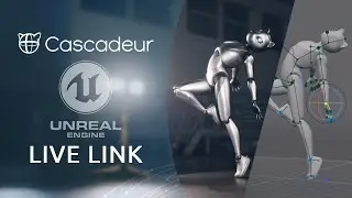 UE5 Live Link | Cascadeur 2024.3