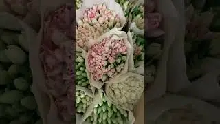 20 января 2023 г.