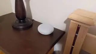 Hey Google, Play penis music
