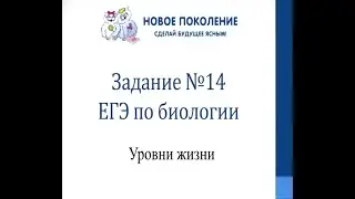 Биология. Разбор задания №14 ЕГЭ по биологии  
