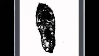 Hawkc image processing plugins