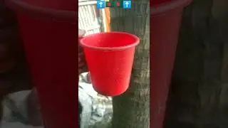 ⬆️🇧🇩🇧🇩🇧🇩⬆️🤫 now shorts video 