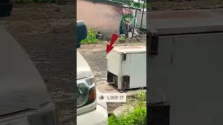 Bully Dog. 🐕 #bulldog #active #catvideos #enemy #digfight #catfight #germanshepherd #dog #doglover