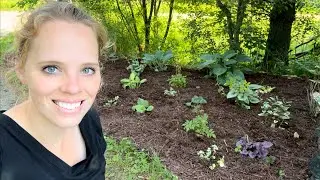 Finally Finishing My Shade Bed! | Simply Bloom