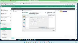 Securing Your Website with a Self-Signed Certificate: Using Windows Server and DigiCert Utility Tool