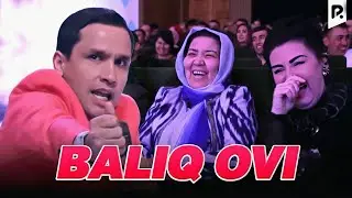 Nodirbek Hayitov - Baliq ovi