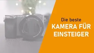 Fotografieren lernen - Die beste Kamera für Einsteiger