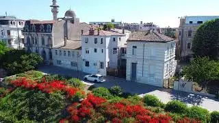 Poveste cu maci în Zona Peninsulară din Constanța