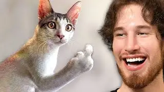 Best of Daily Dose of Internet 2023!