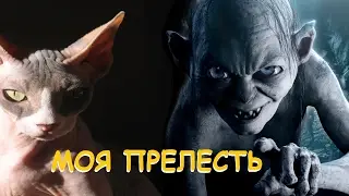 Голлум, моя прелесть (прикол с кошкой сфинкс)