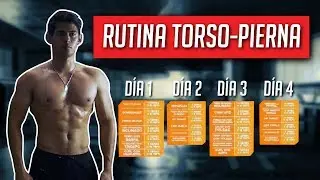 LA MEJOR RUTINA DE ENTRENAMIENTO / CIENTÍFICAMENTE COMPROBADO