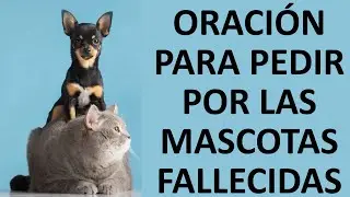▶ ORACIÓN PARA PEDIR POR LAS MASCOTAS FALLECIDAS - ORACION Y PAZ