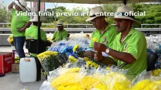 Elaboración Gigantes de Flores 2014 (COSSE)