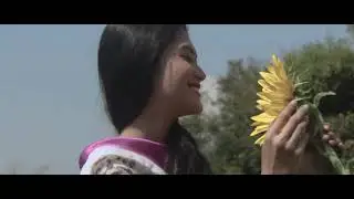 Teaser Miss Global "Nova Retalista"