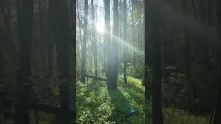 Мысли материальны, ты хозяин своей жизни) ты причина изменений #psychology #tarot #кино