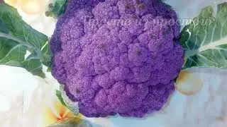 Цветная капуста, действительно цветная)