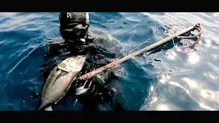 REX Invictus - Speargun - Fucile | Omer