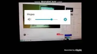 (Remastered) Bass uses computer has BSOD