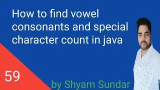 How to find vowel consonants and special character count in java || Shyam Sundar