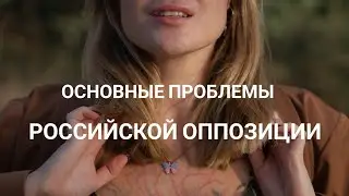 Диана Исакова. Основные проблемы Российской оппозиции . Почему мы так слабы .