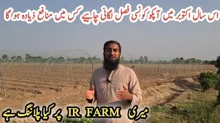 What to grow in October |Tunnel farming |Best month to start tunnel farming